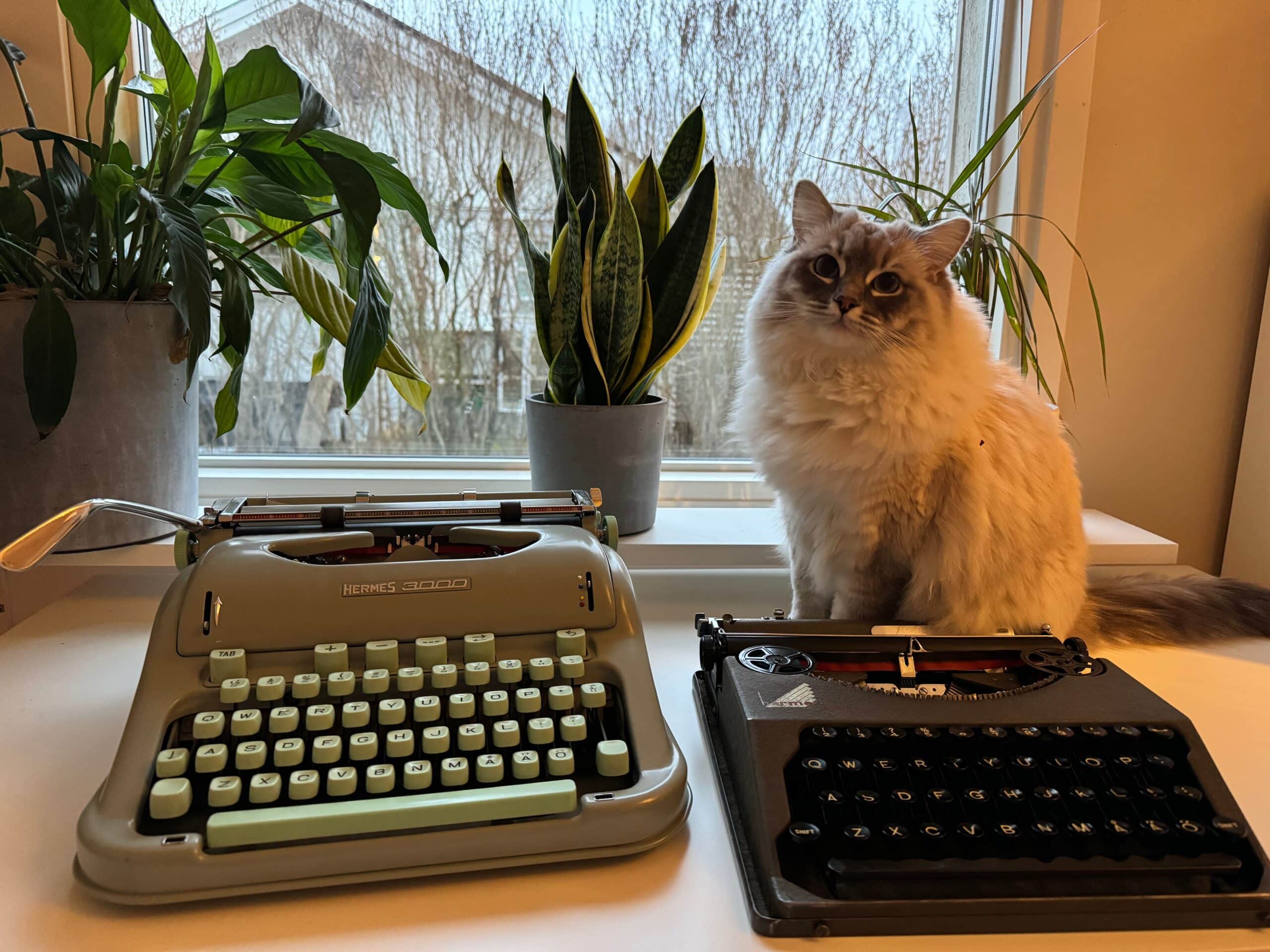 Hermes 3000 vs Hermes Baby